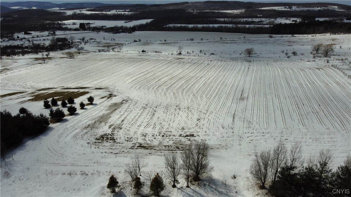  Cortland Virgil Road - Photo 1