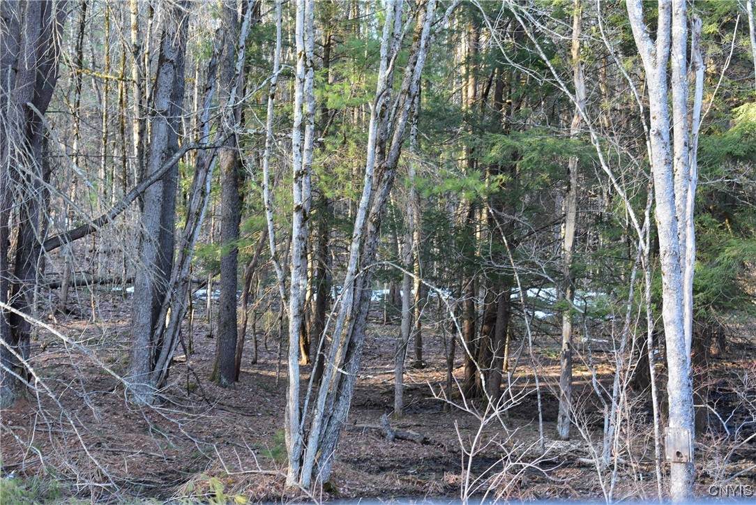 Holly Hole Road - Photo 1
