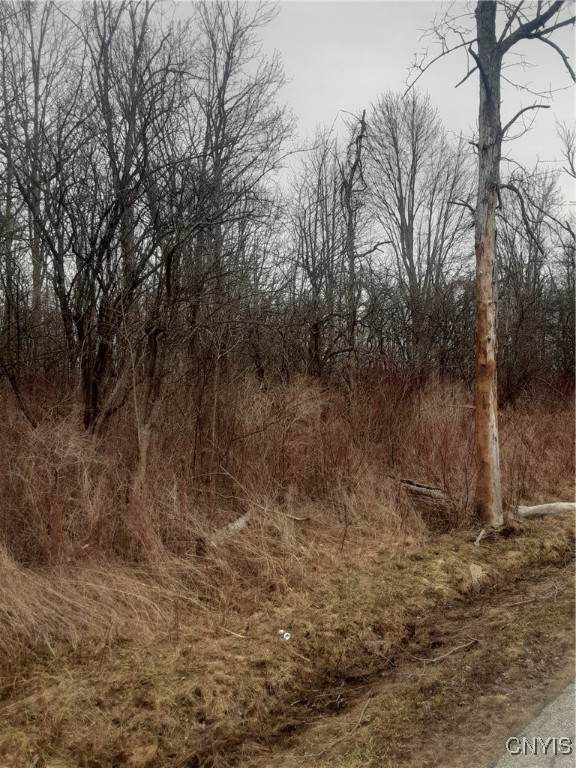 00 Walnut Point Road - Photo 1