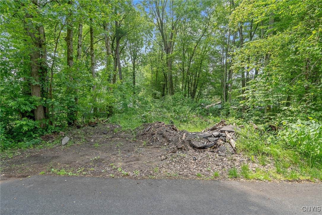 21st Avenue - Photo 1