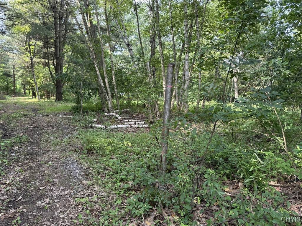 15541 Foster Park Road - Photo 1