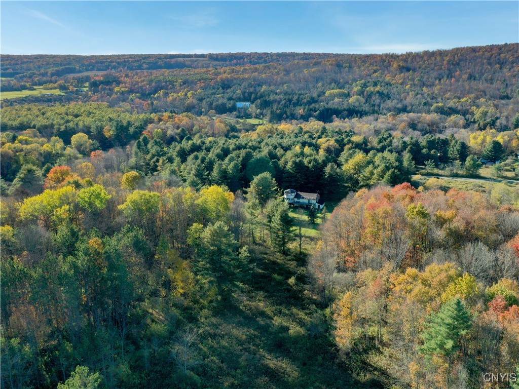 7810 County Road 15 - Photo 1