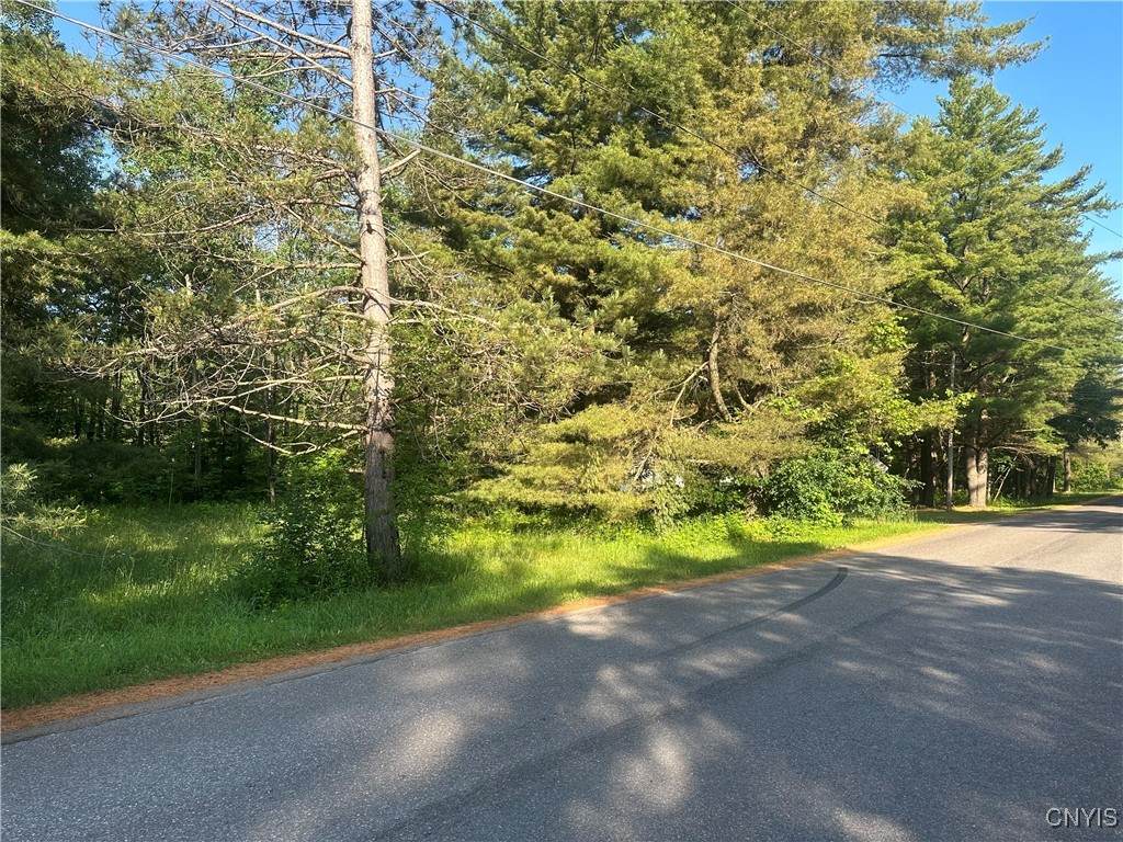 36130 Jackson II Road - Photo 1