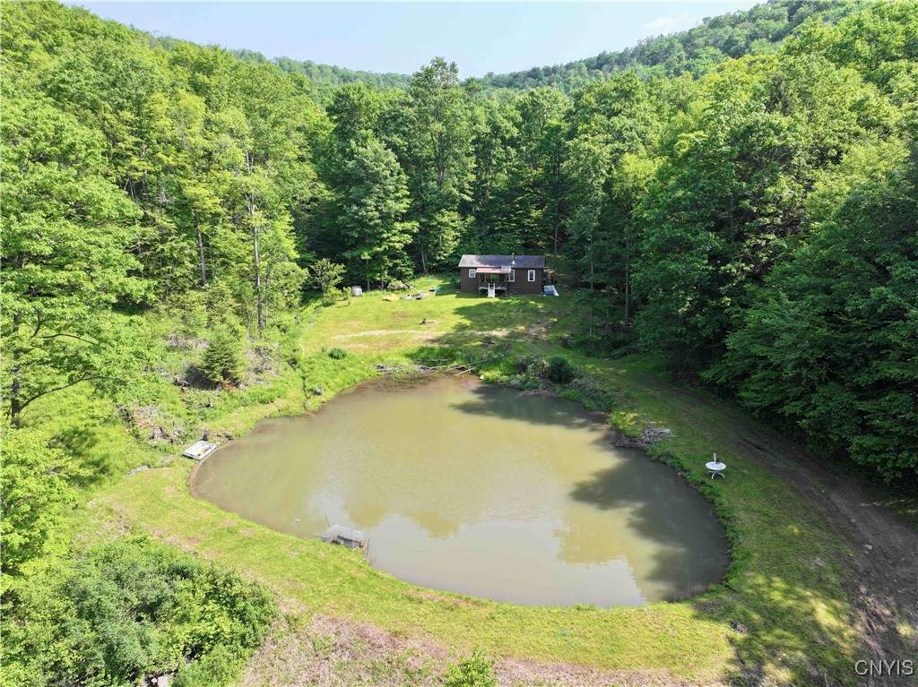 Indian Creek Road - Photo 1