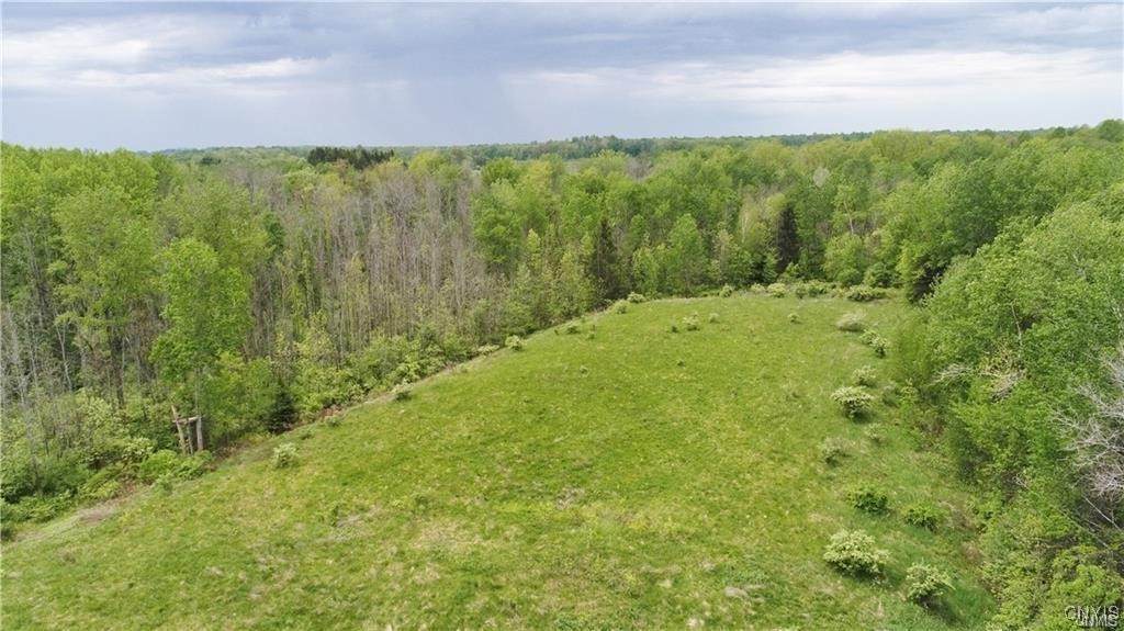 9141 River Road - Photo 1