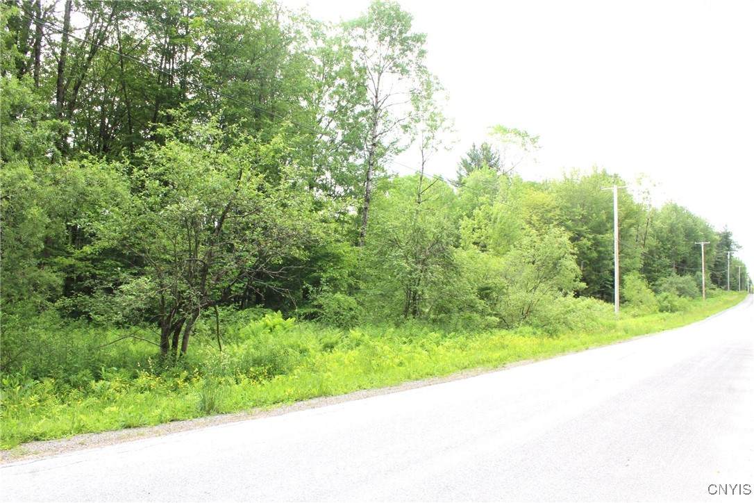 Milk Road - Photo 1