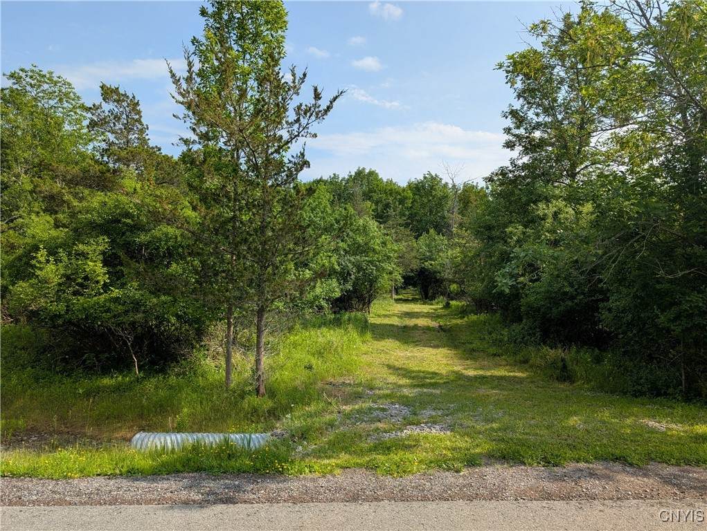 Middle Road - Photo 1