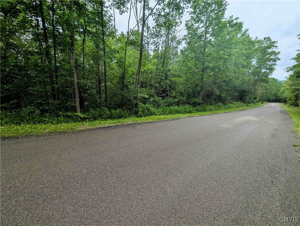 Bell Hill Road - Photo 1