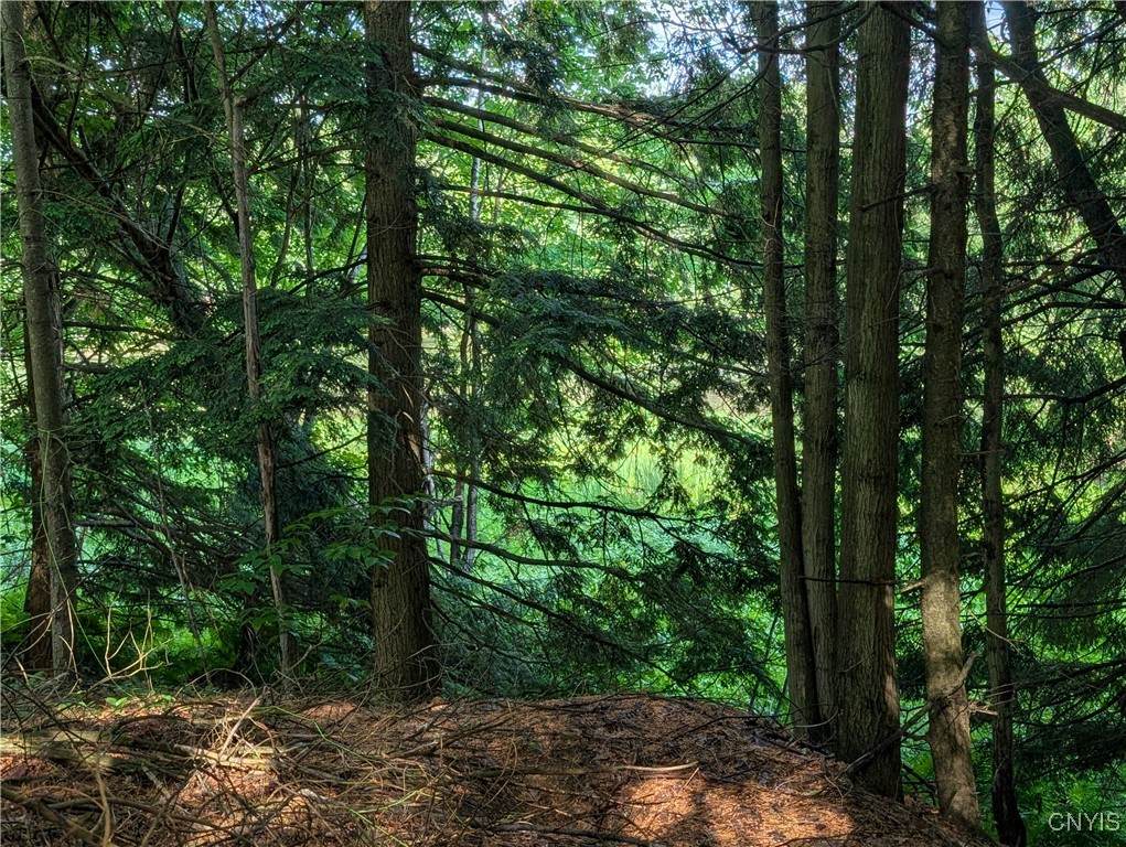 0 Indian River - Photo 1
