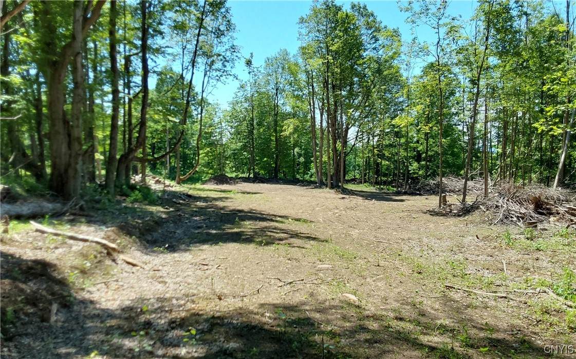 1273 Newport Gray Road Road - Photo 1