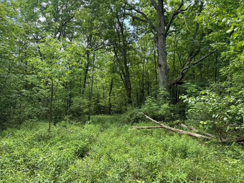 2190 Warren Road - Photo 1