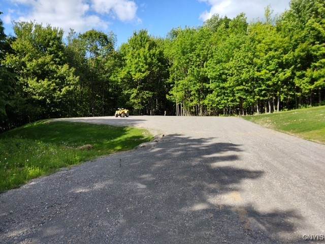 2010 Thermopylae Drive - Photo 1