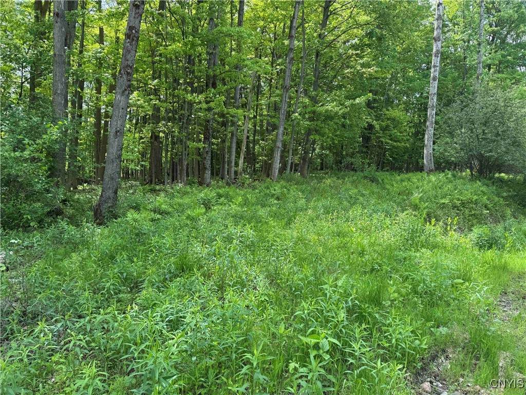 Cr-48 - Photo 1