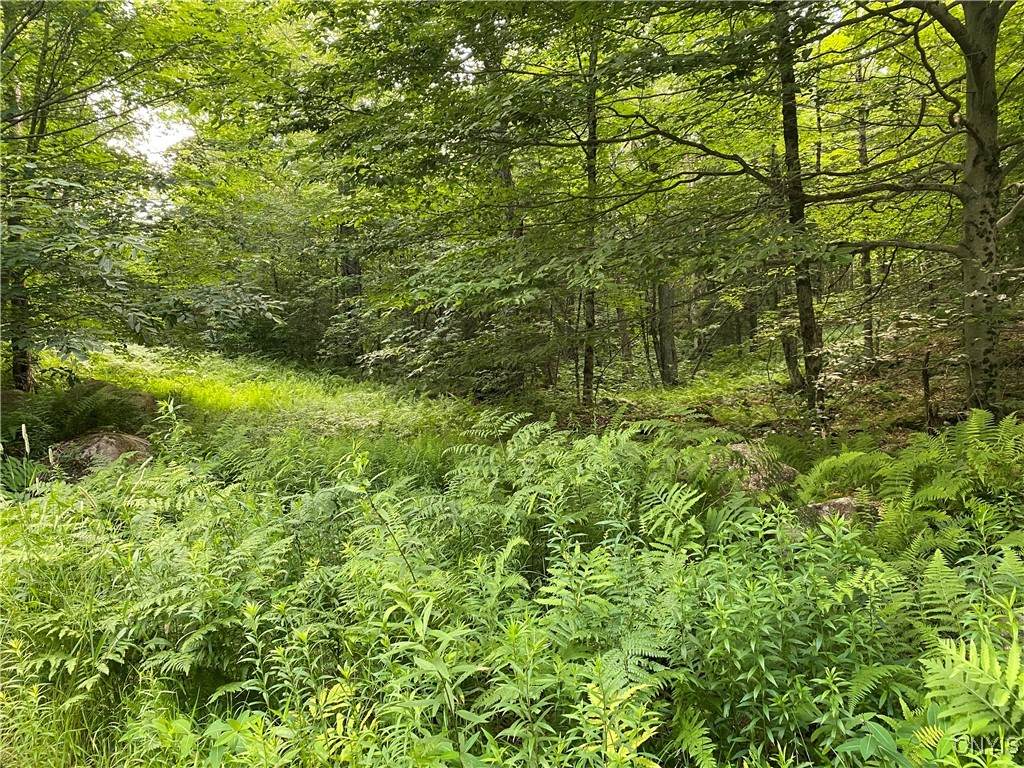 0 State Route 28 - Photo 1