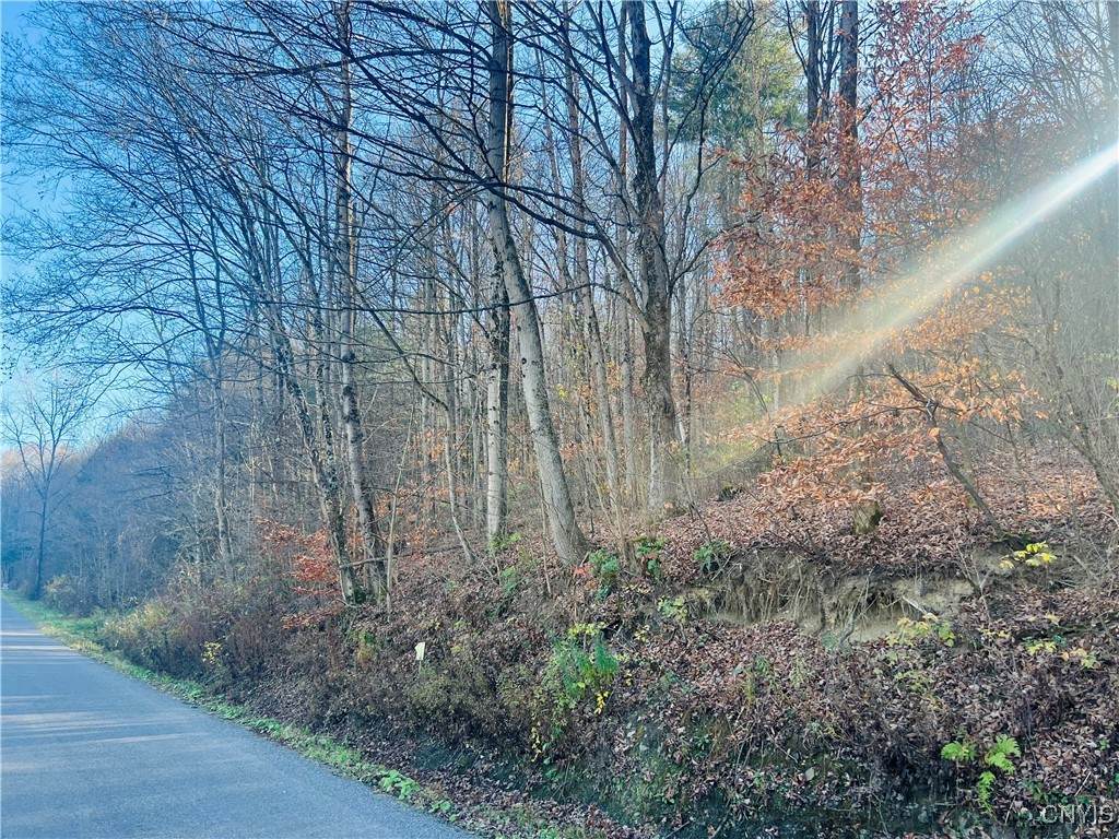 0 W Cheningo Road Road - Photo 1