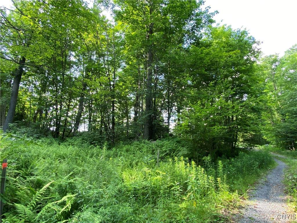 1517 State Route 28 - Photo 1