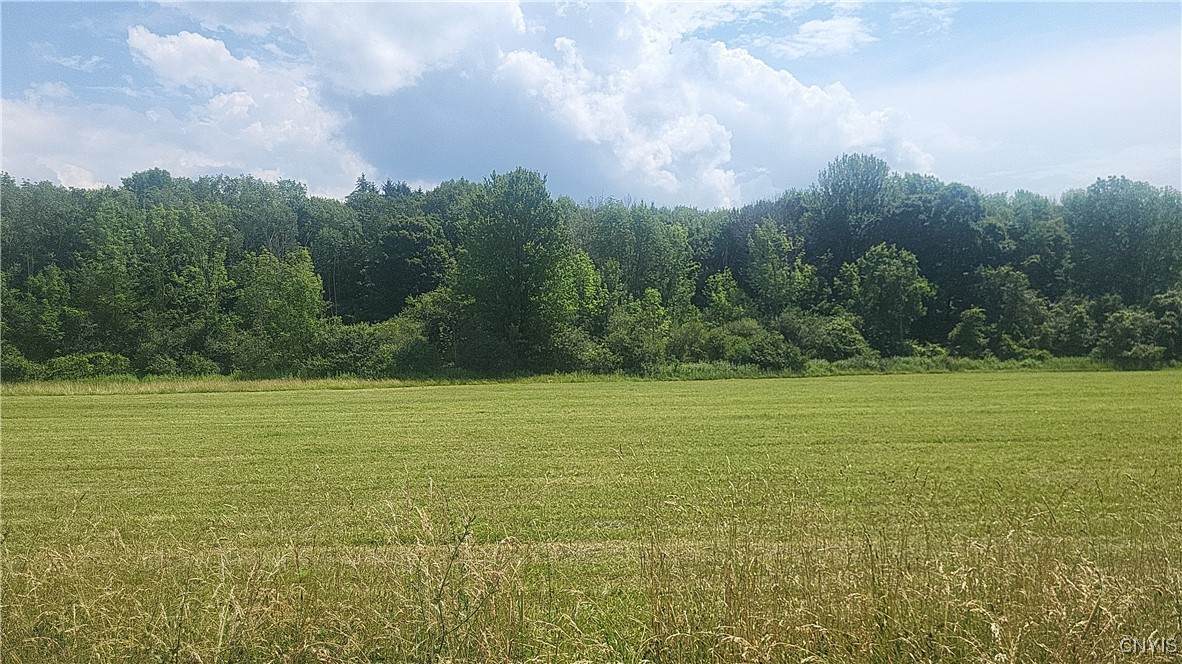 LOT 3 Co Rte 91 - Photo 1