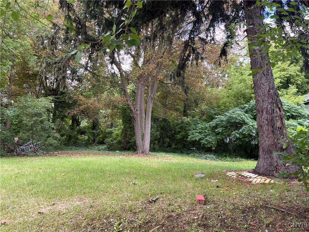 1406 South Avenue - Photo 1