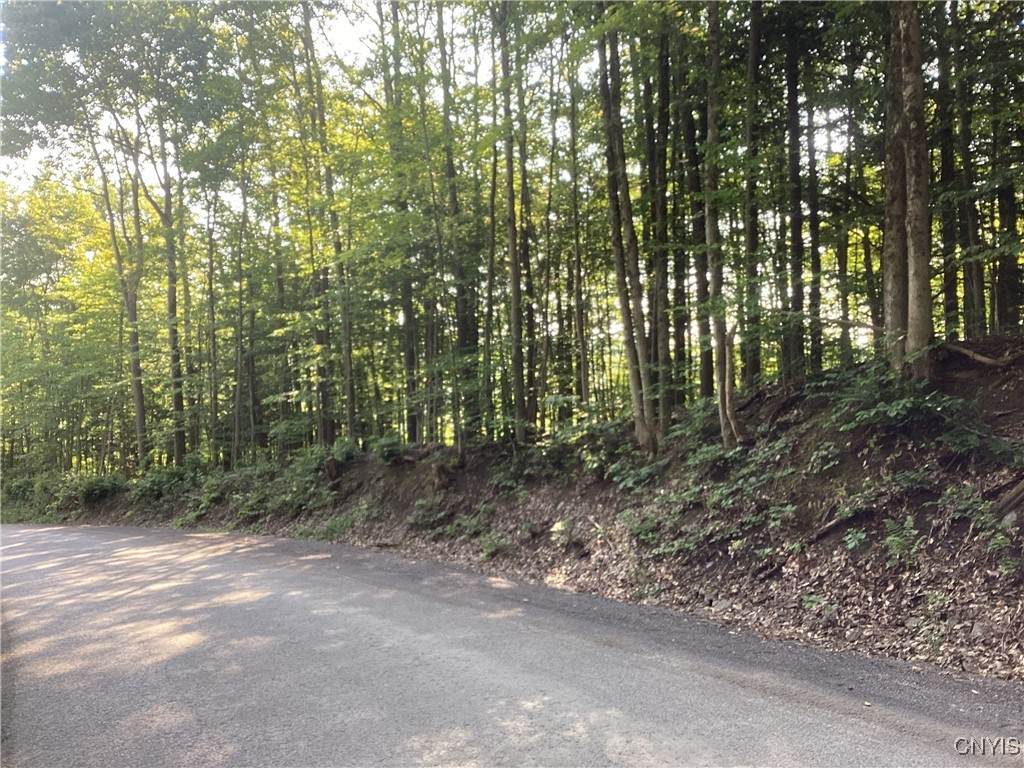  Smith Hill Road - Photo 1