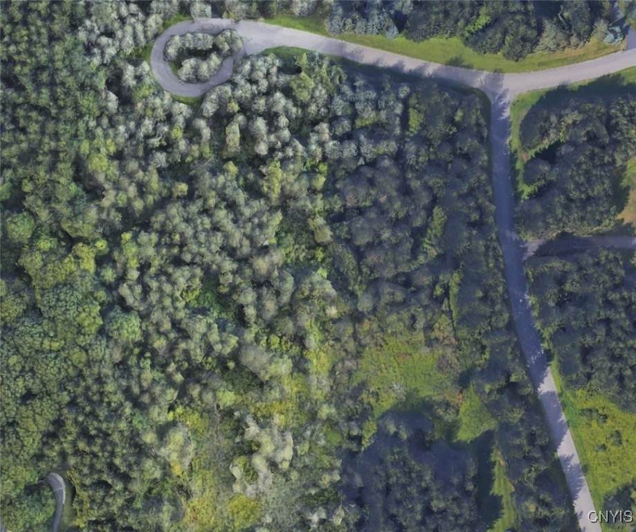 7040 Whitney Farm Lane - Photo 1