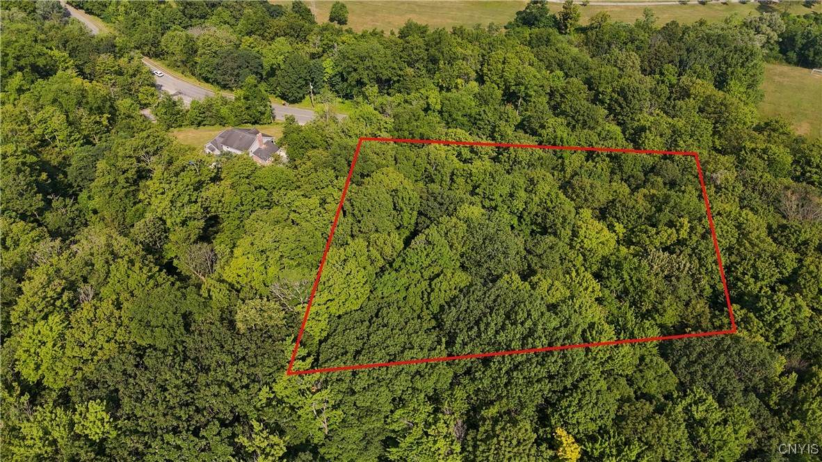 0 Nob Road - Photo 1