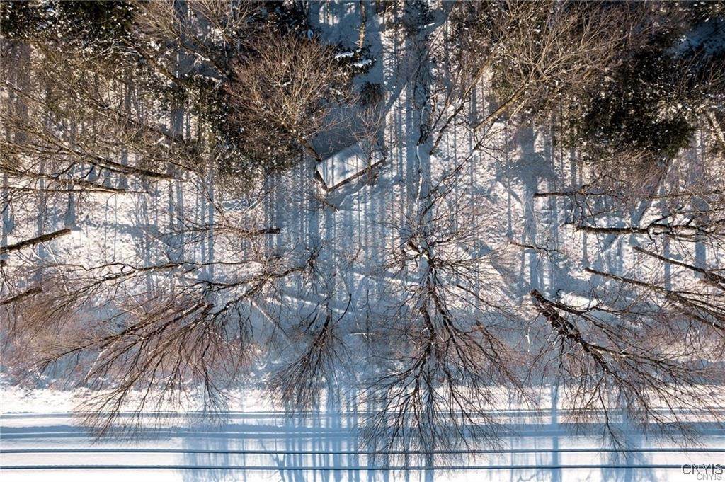 00 W Us Rt 11 Street - Photo 1