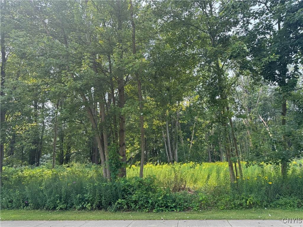  Mcclanathan Avenue - Photo 1