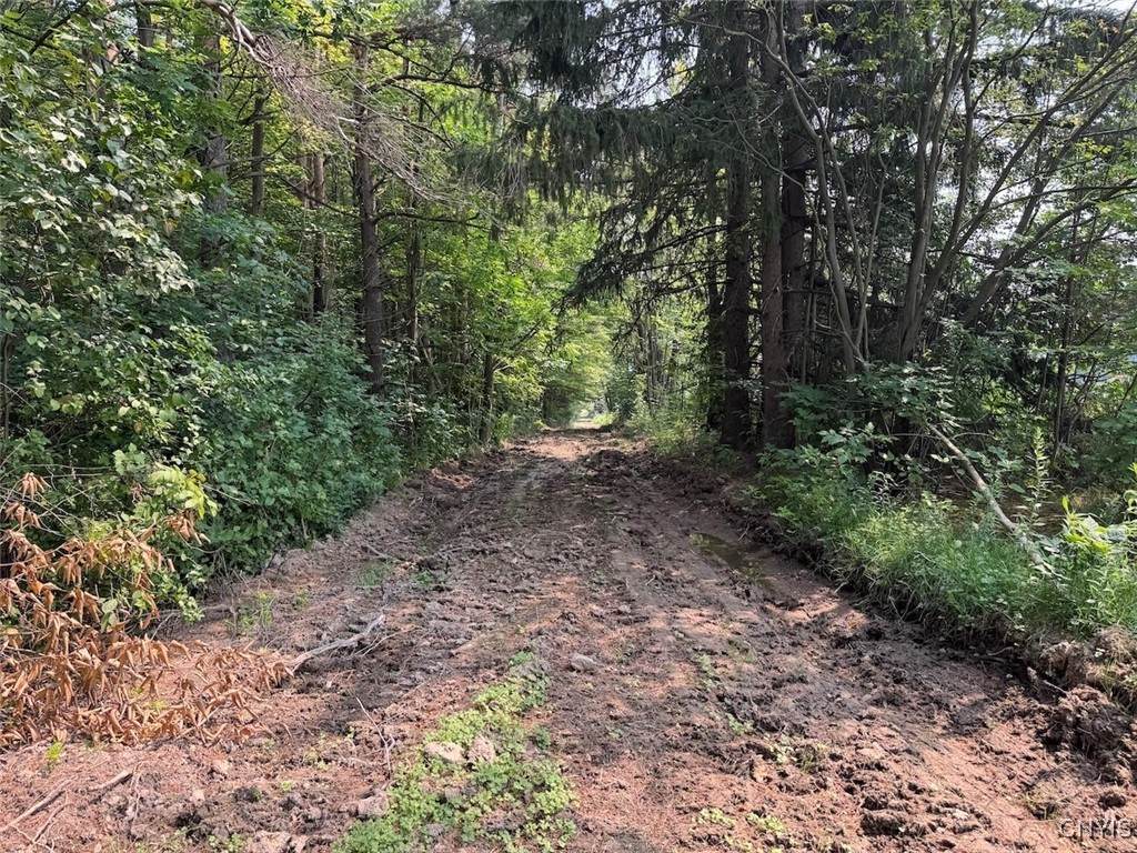  Allen Road - Photo 1