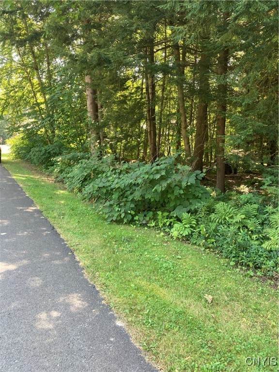 0 Shady Lane - Photo 1