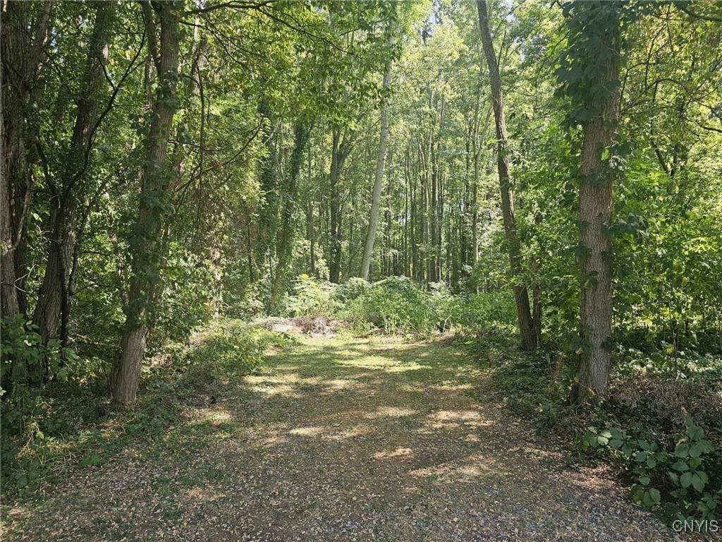  Willowcrest Drive - Photo 1