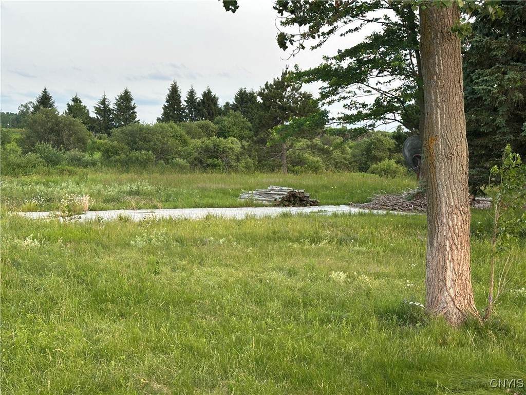 30476 Us Route 11 - Photo 1