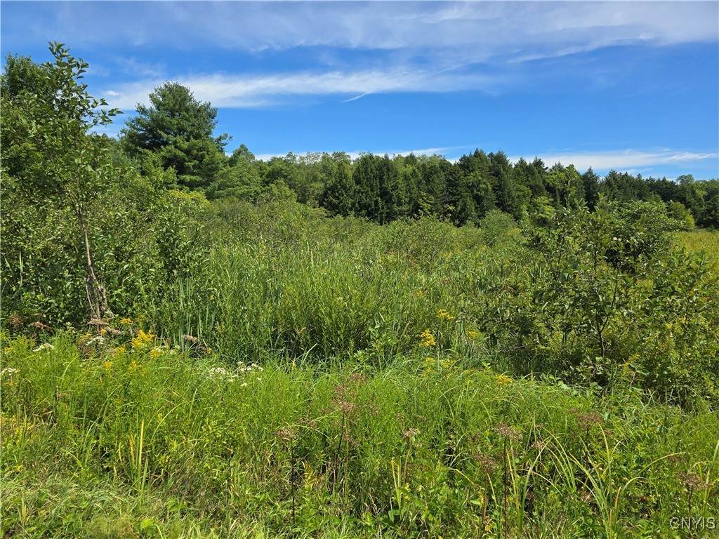  Hayes Road - Photo 1