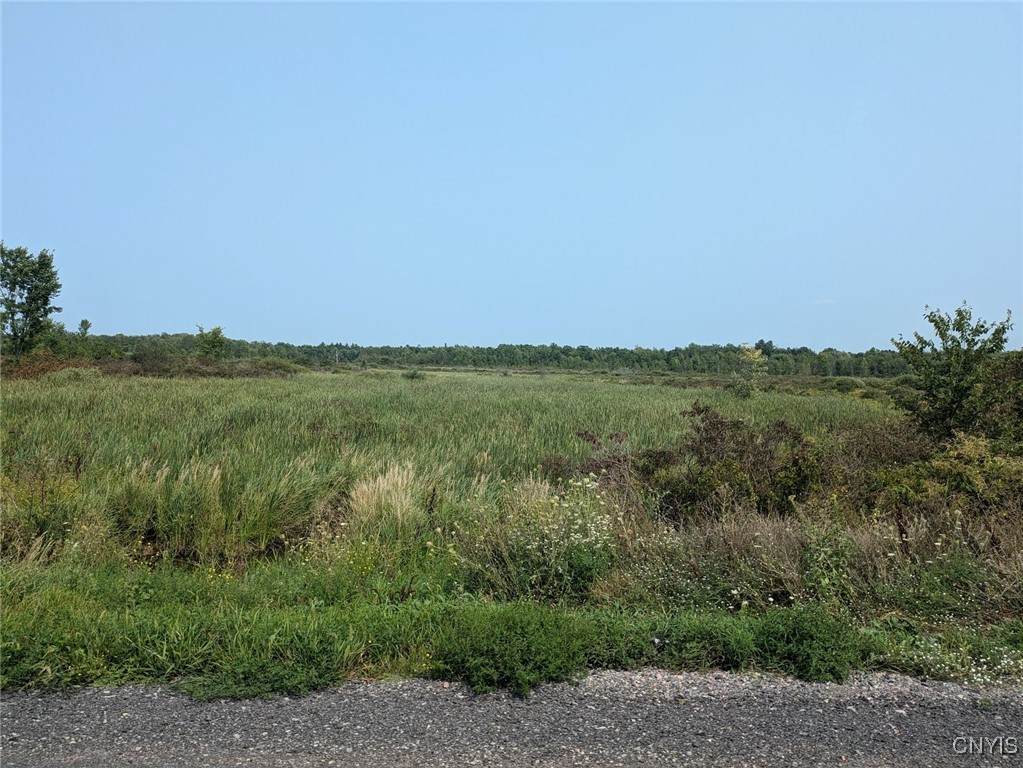 0 Black Creek Road - Photo 1