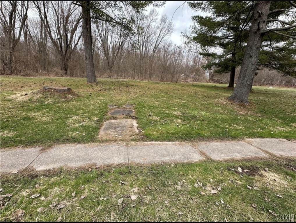 207 Mechanic Street - Photo 1