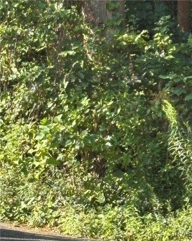 0 Pellet Road - Photo 1