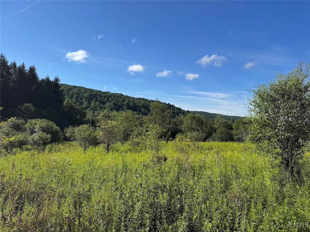  Valley Road - Photo 1