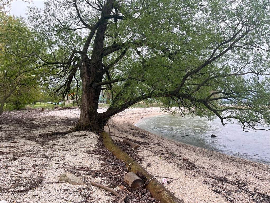 6310 Lasher Rd Ext 1 - Photo 1