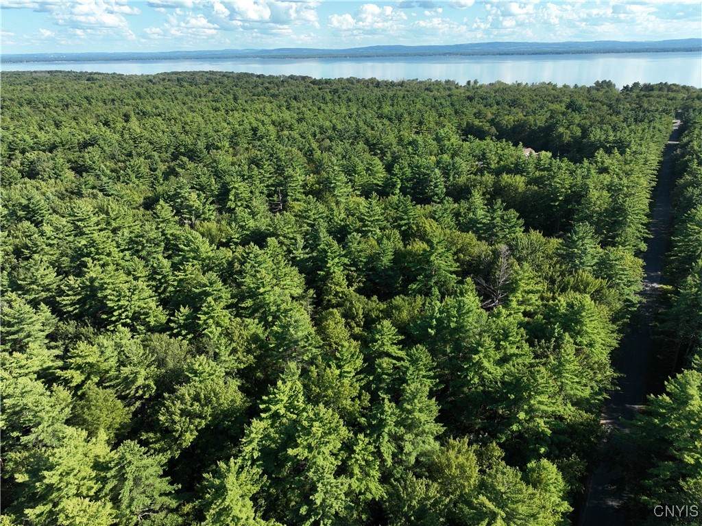 0 Hall Road - Photo 1