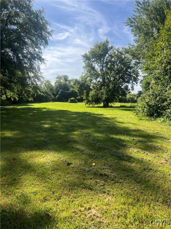 36 Grove Street - Photo 1