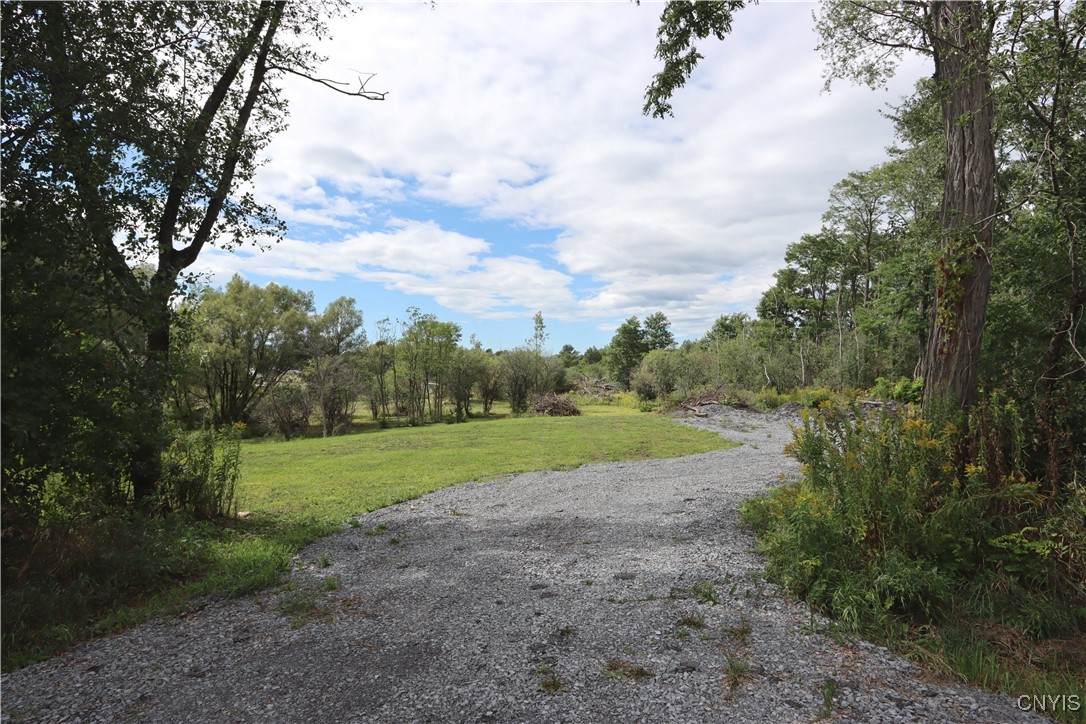 19907 Miser Road - Photo 1