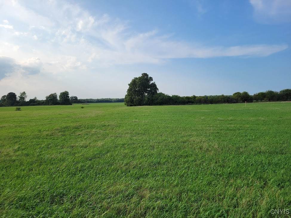  Three Mile Pt Road - Photo 1