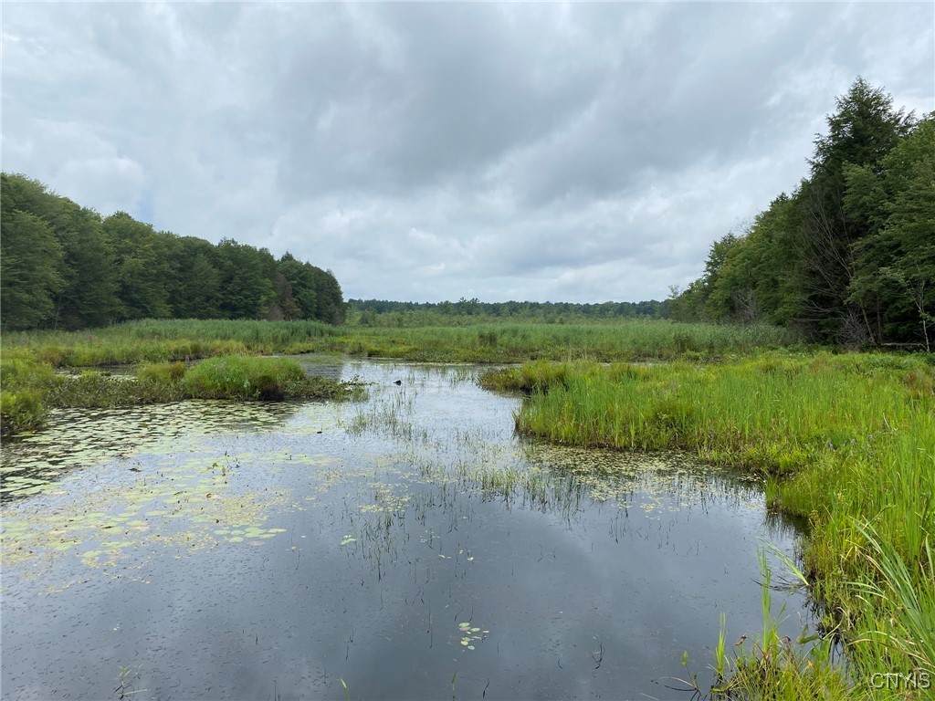  Fisherman S Bridge Road - Photo 1