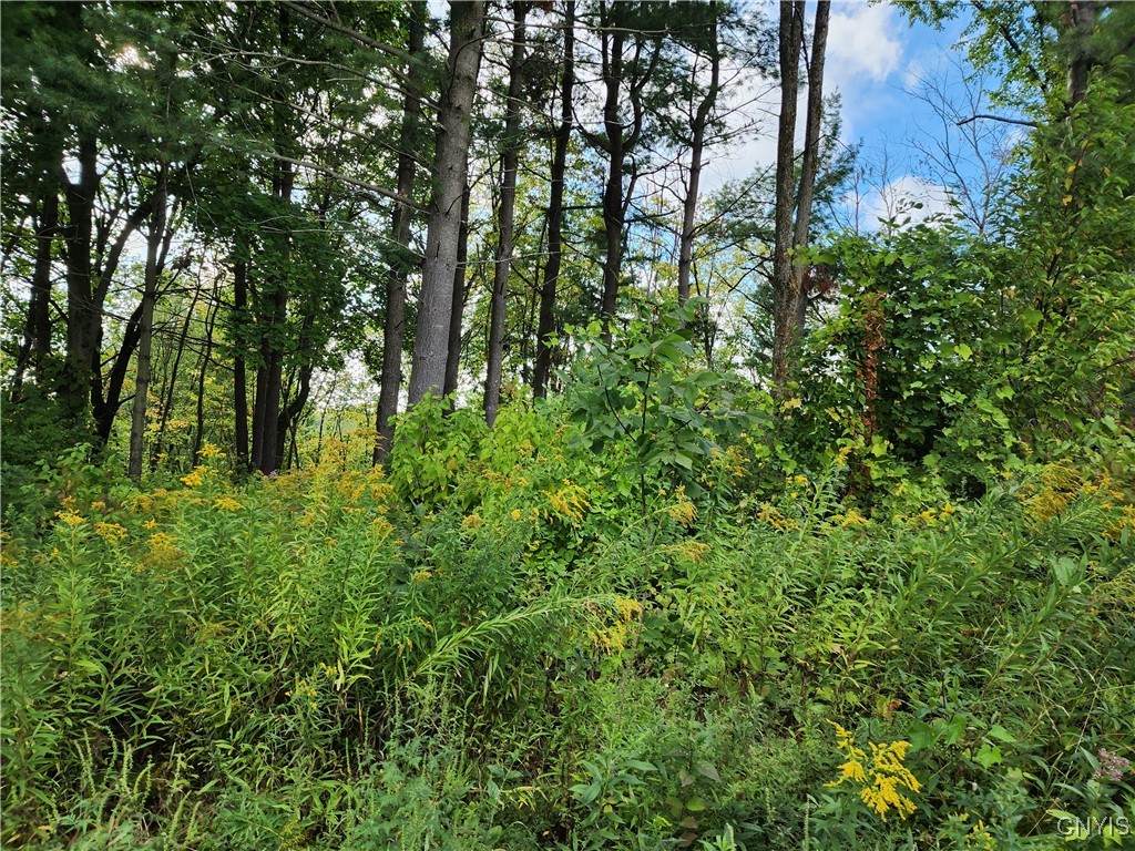 33269 Broadwell Road - Photo 1