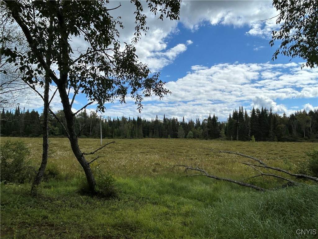 1406 Gray Wilmurt Road - Photo 1