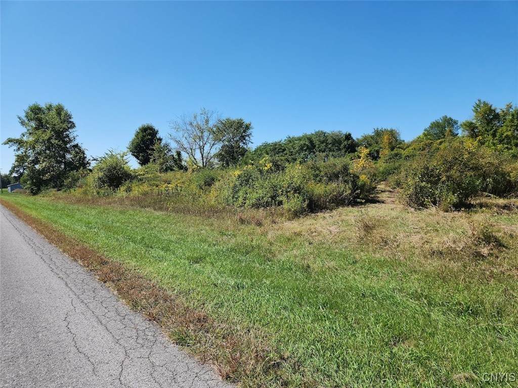 32032 Carter Street Road - Photo 1