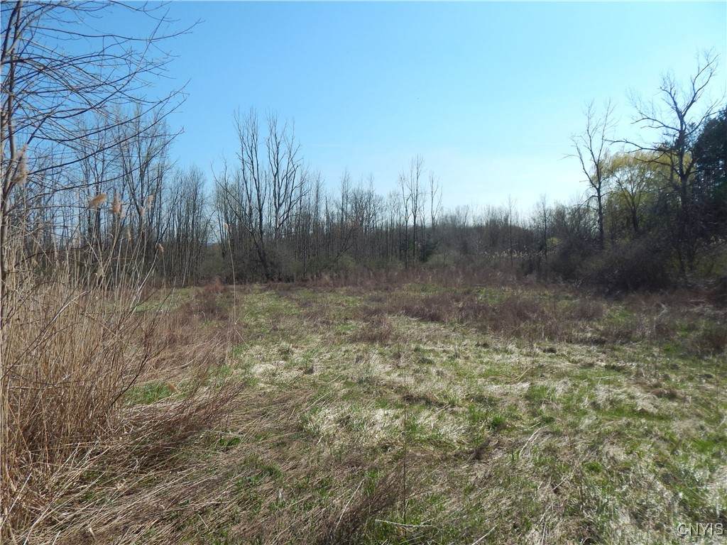 3918 Alene Corners Road - Photo 1