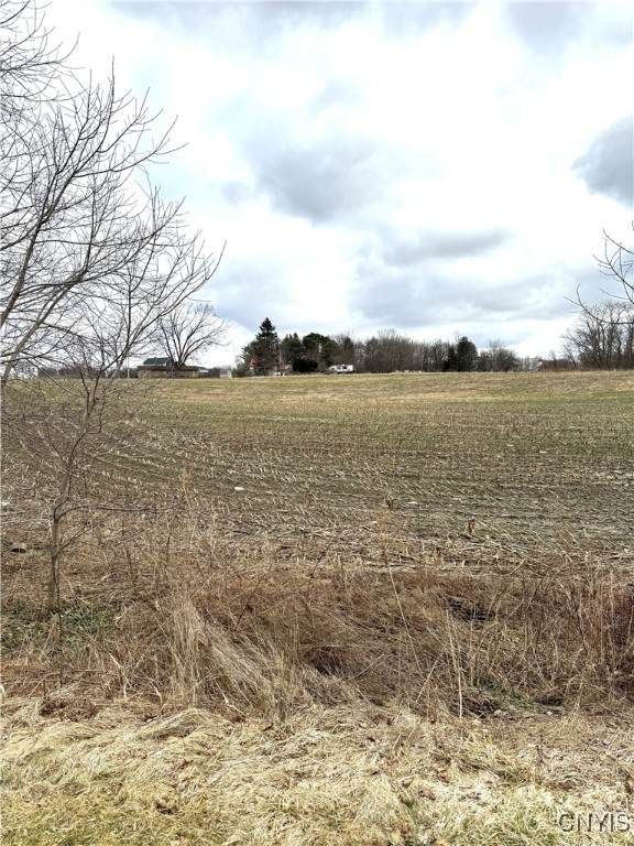 LOT 4B Carpenter Avenue - Photo 1