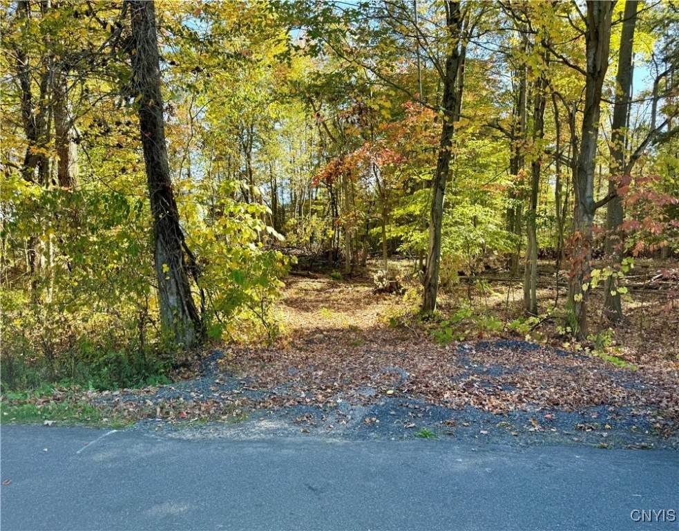  County Line Road - Photo 1