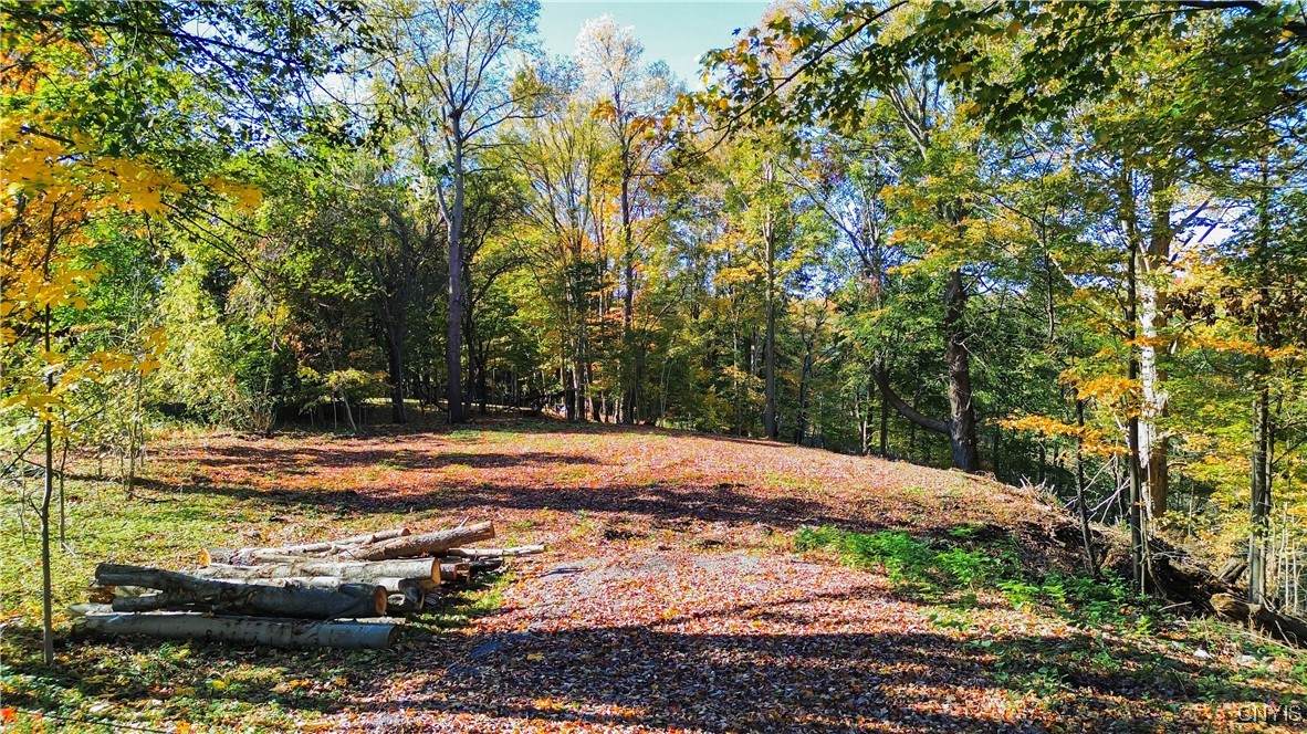  Harrison Avenue - Photo 1