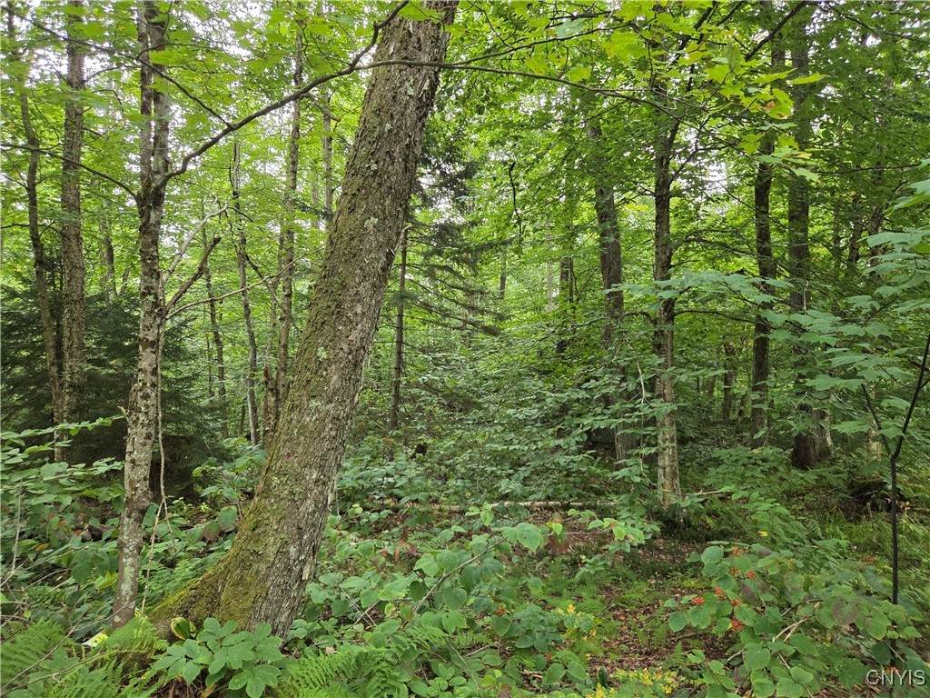 000 William Ernst Road - Photo 1